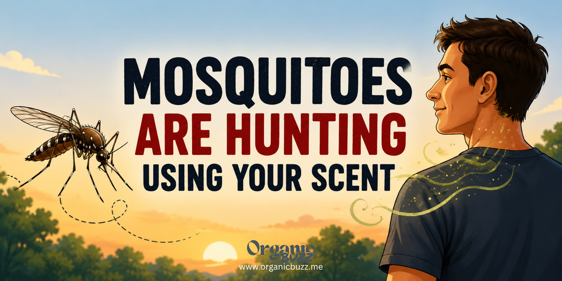Why Mosquitoes Are Attracted to Some People More Than Others