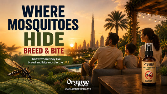 Where mosquitoes hide, breed and bite in the UAE